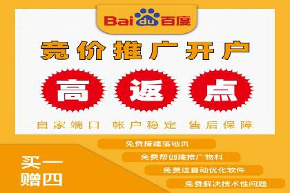 行业标杆：SEM托管公司案例解析