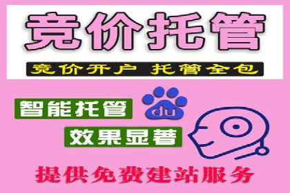 SEM推广策略：成功案例分享与优化技巧